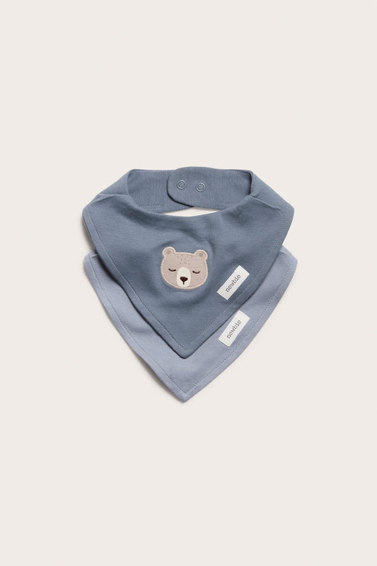 Baby blue teddy bear bibs 2-pack